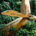 Das Heck eines kleines gelben Flugzeugs ragt aus einer Blätterwand