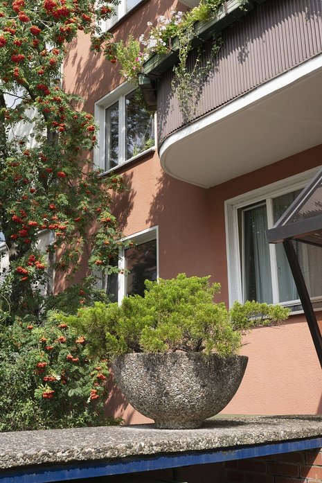 Front eines mehrstöckigen Wohnhauses mit Vogelbeerbaum und Blumenschale mit einer Pflanze