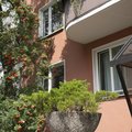 Front eines mehrstöckigen Wohnhauses mit Vogelbeerbaum und Blumenschale mit einer Pflanze